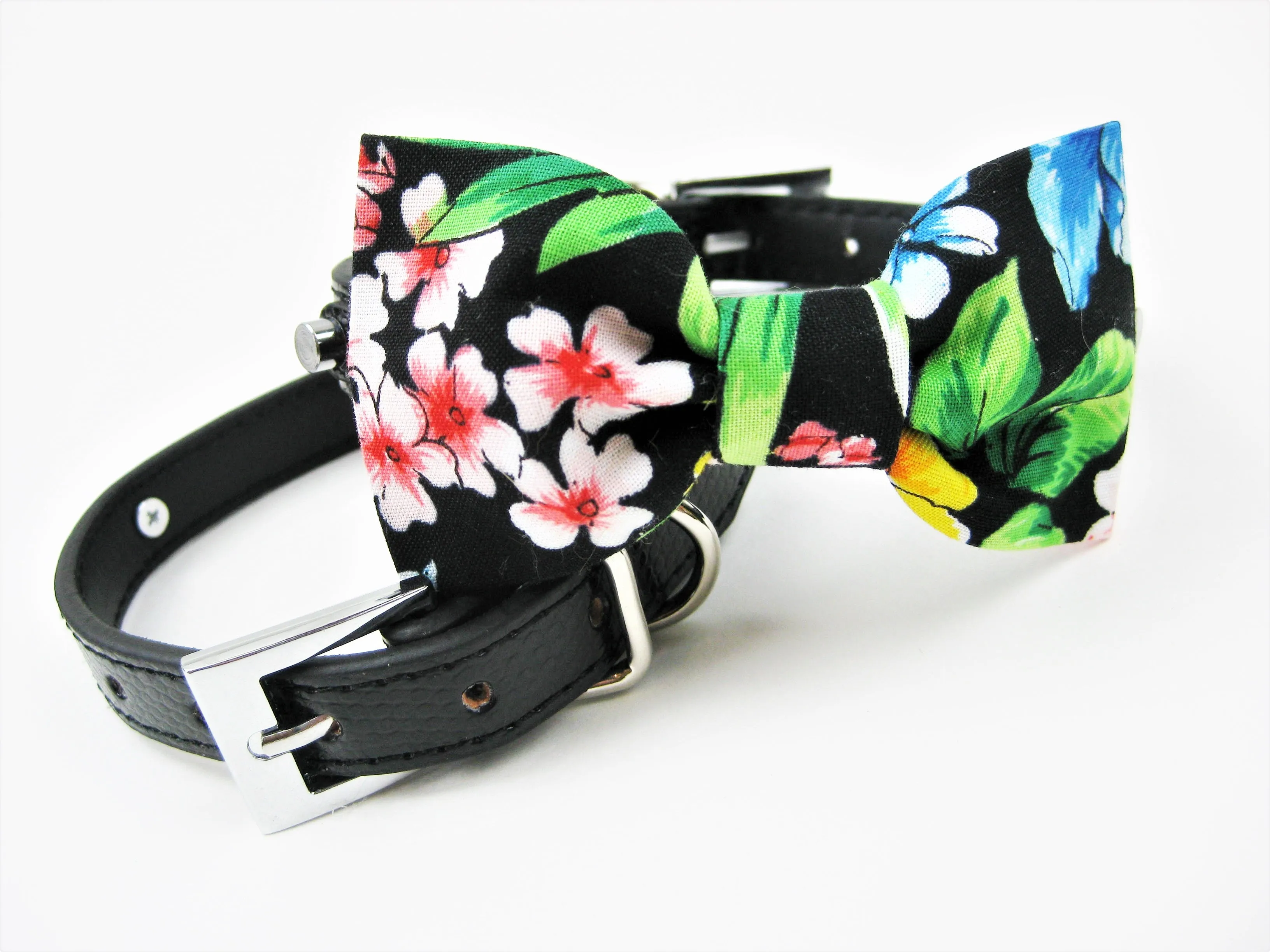 Bowtie Collar |  Tropicana