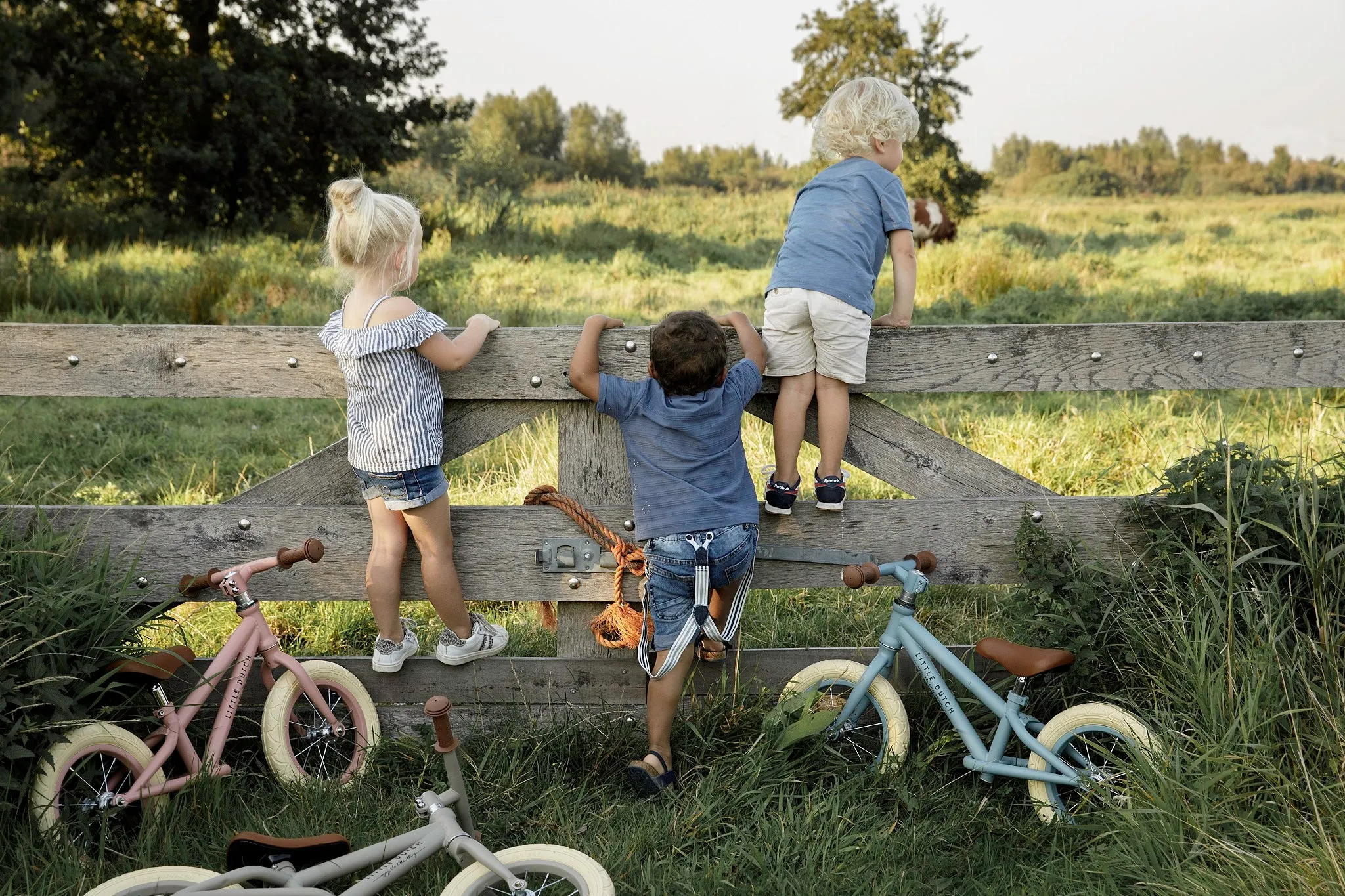 Little Dutch Balance Bike - Matte Blue