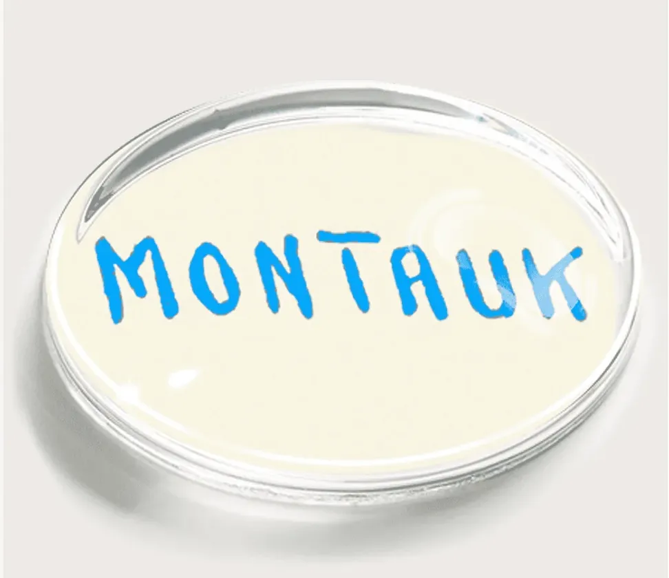 Montauk Paperweight