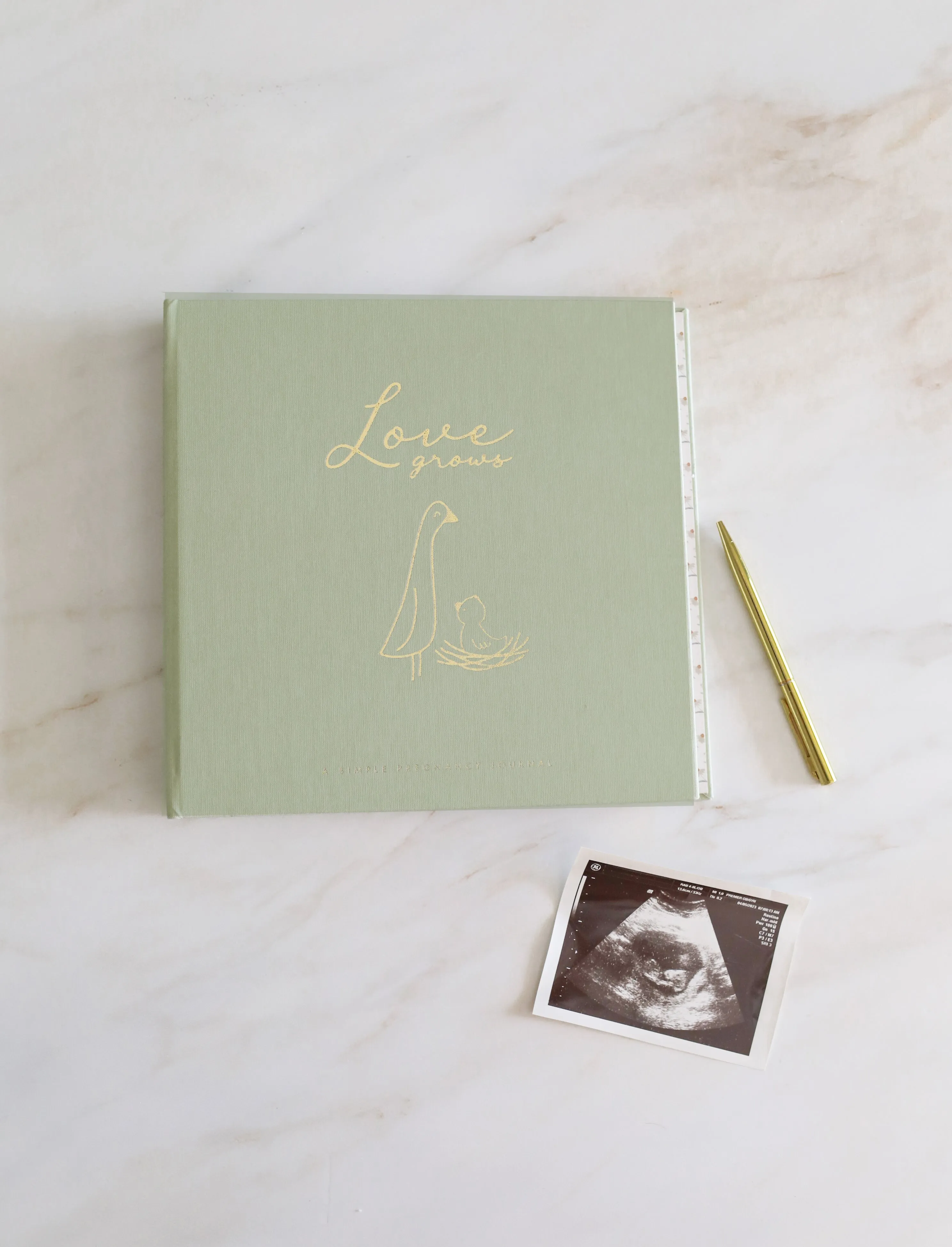 Pregnancy Memory Book