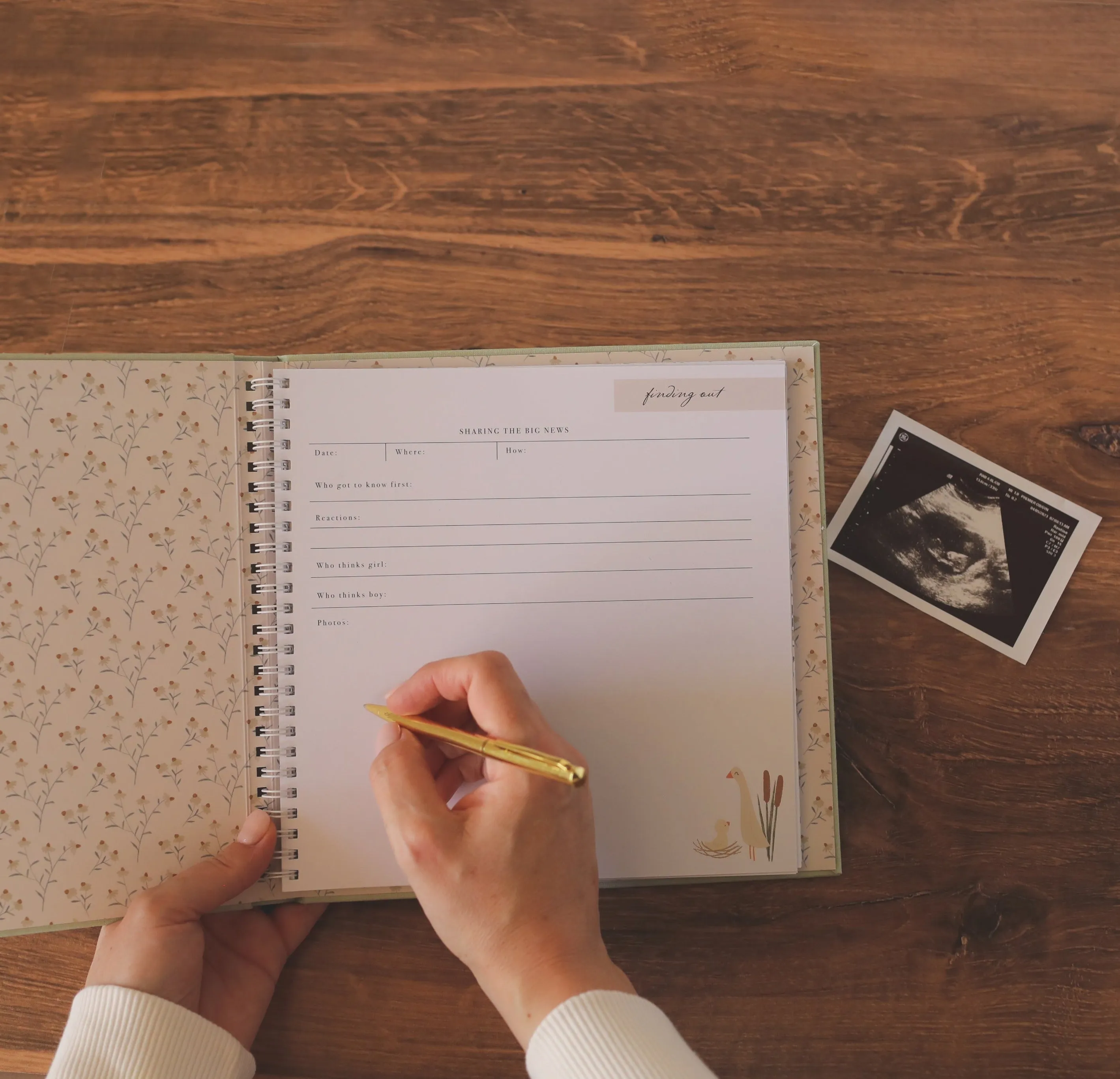 Pregnancy Memory Book