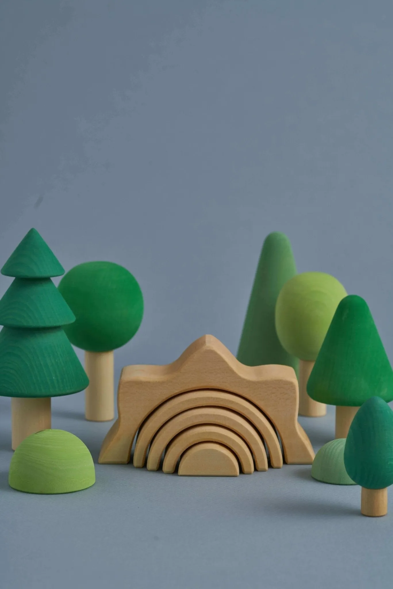 Raduga Grez Wooden Forest Set