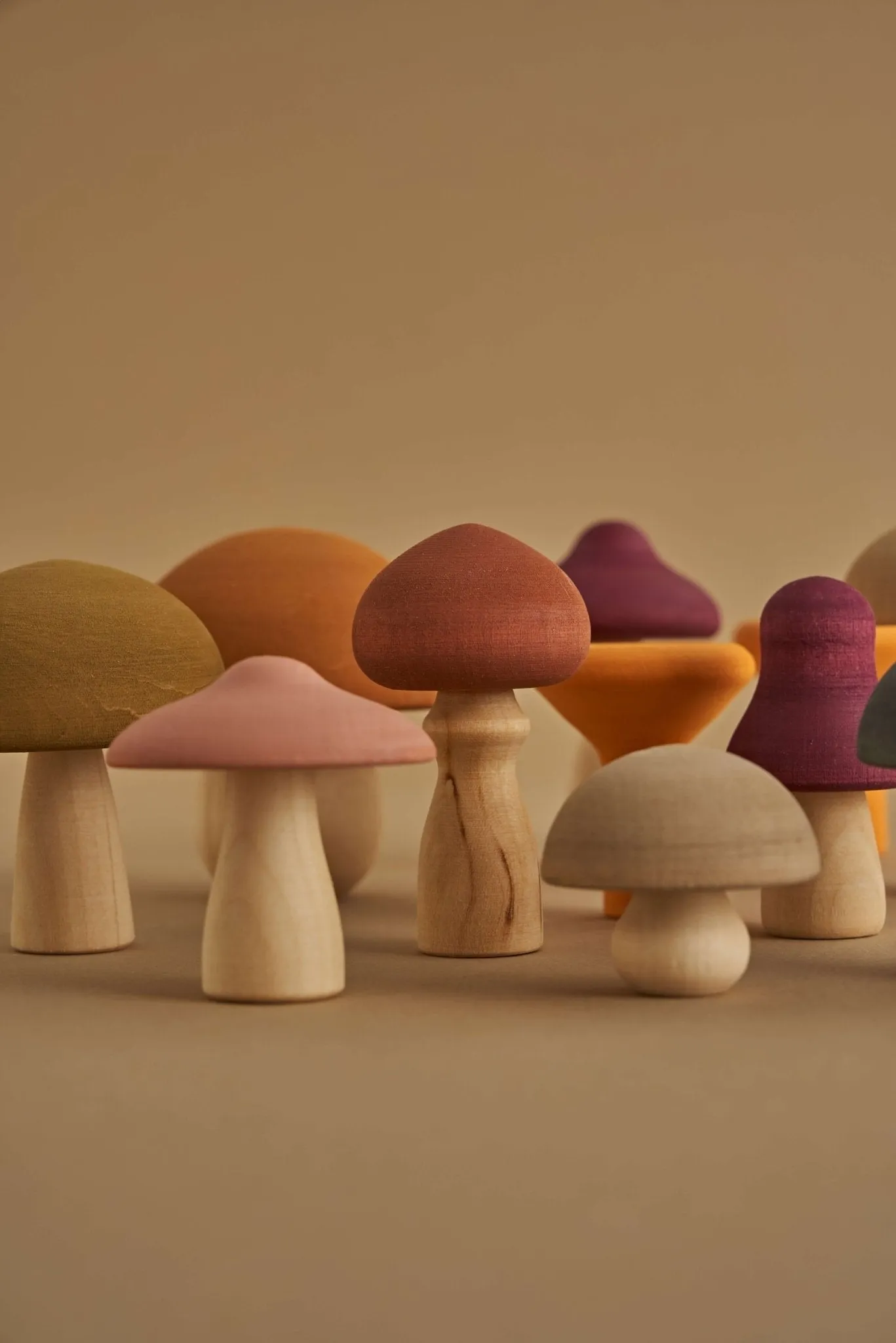 Raduga Grez Wooden Mushrooms