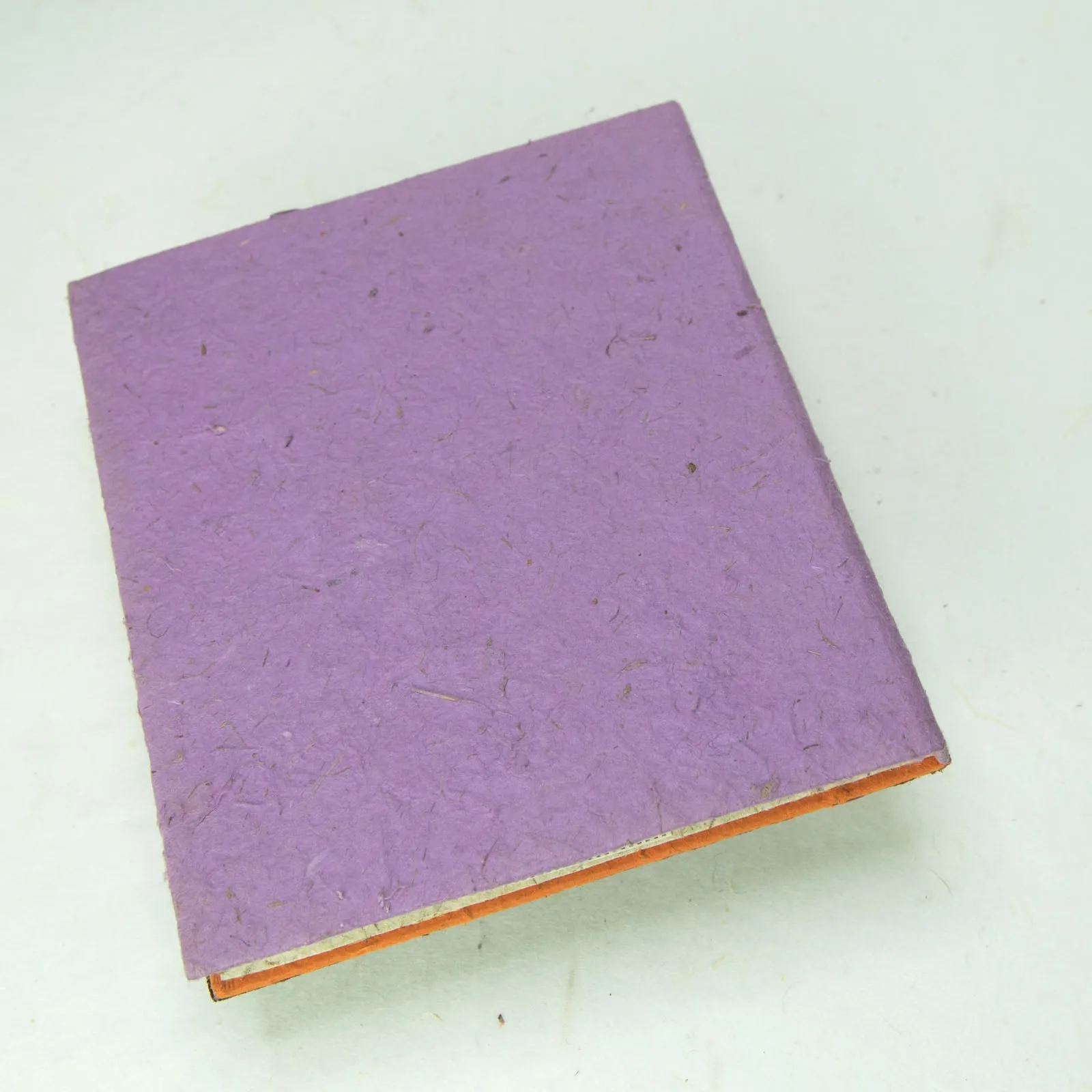 Savannah Sunset - Lion - Purple - Eco-friendly Journal