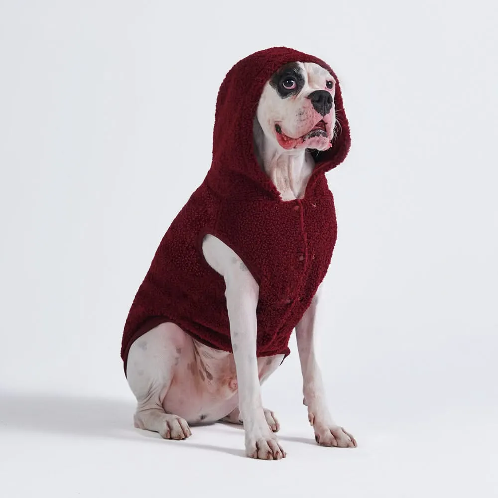 Teddy Sherpa Dog Jacket - Maroon